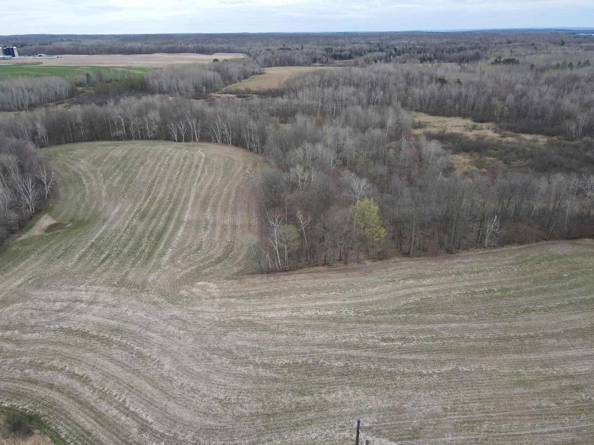 Tillable along the West side of the land