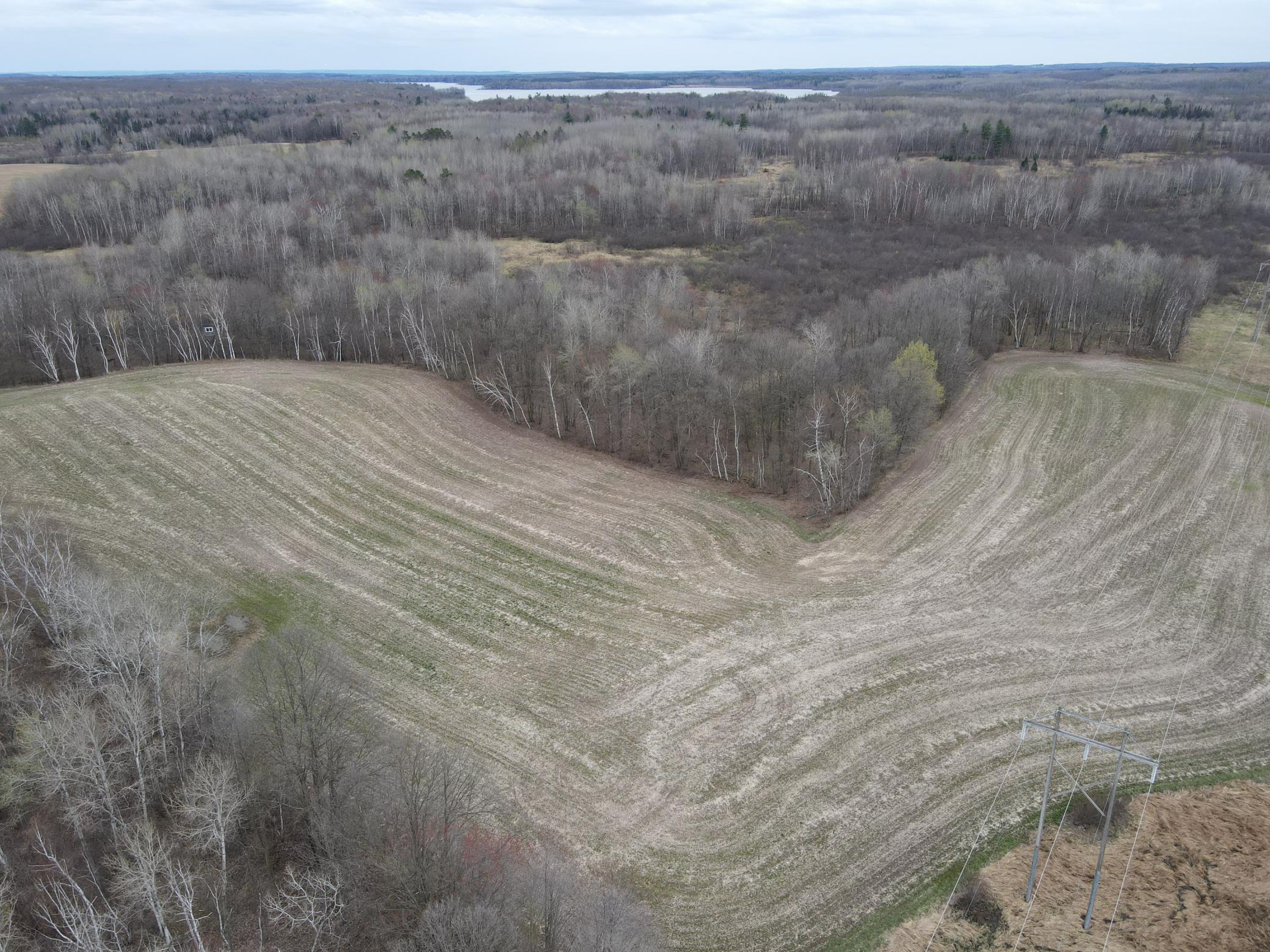 Excellent food plot for the next owner!