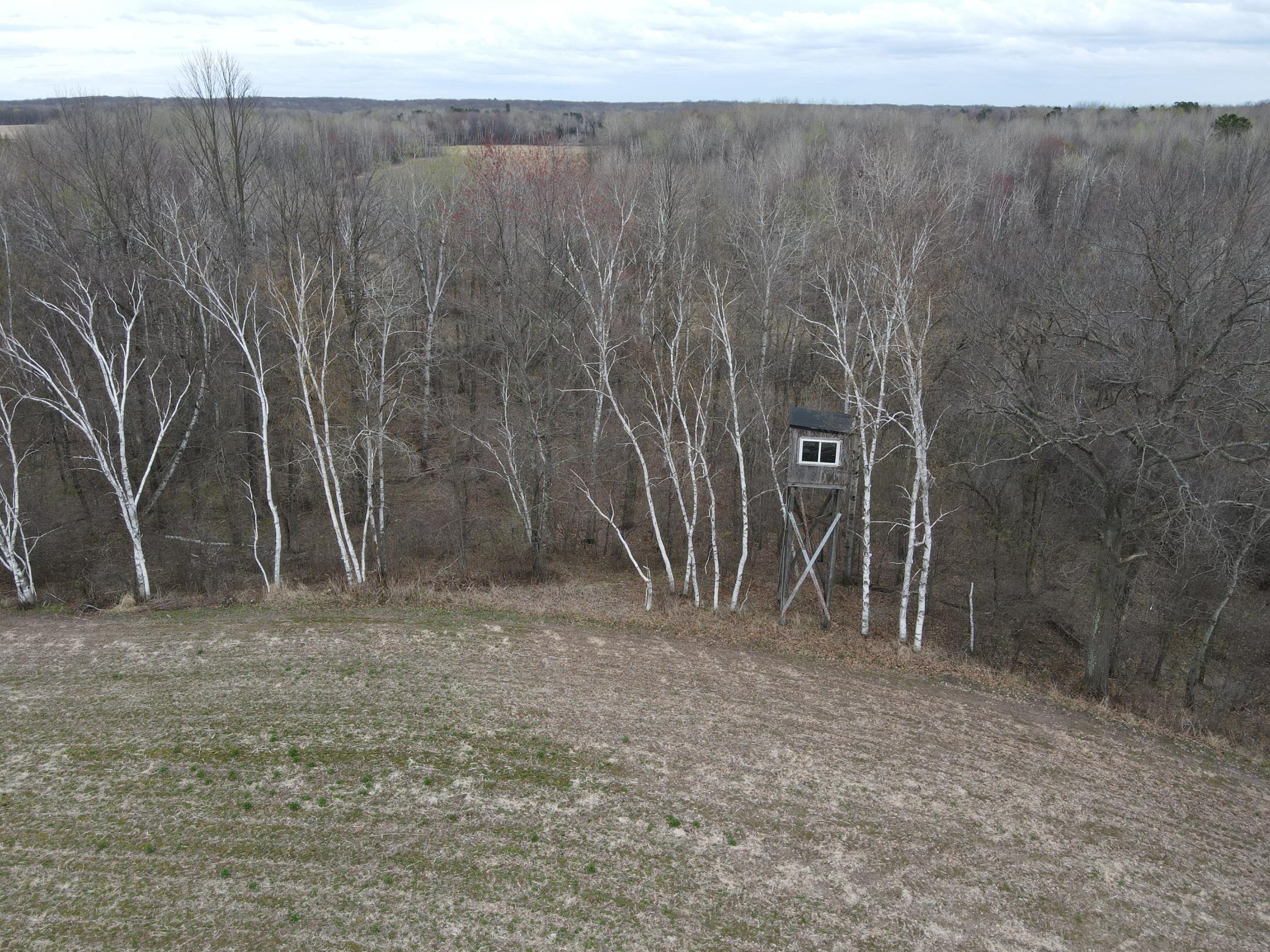 Phenomenal whitetail hunting