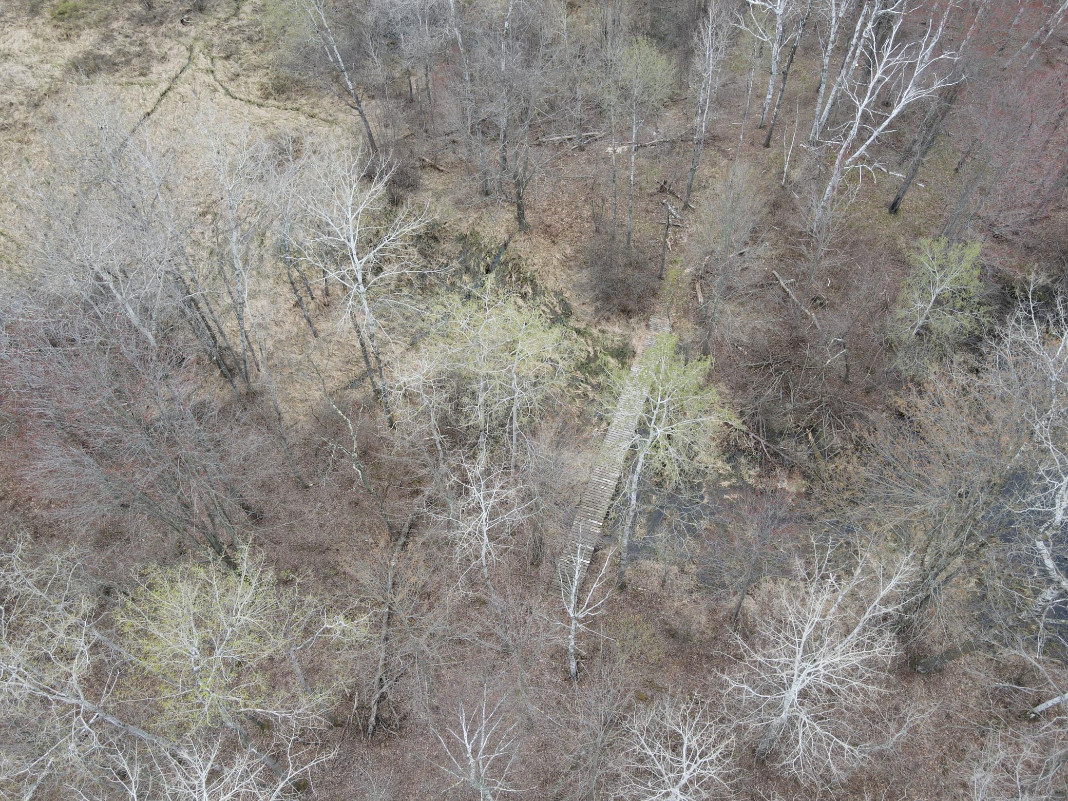 Portion of trail crossing a low spot