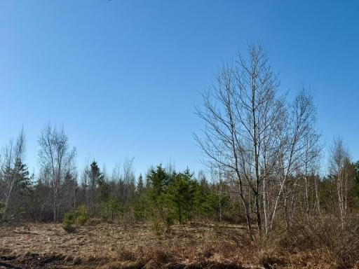 35504 Jackson Road, Askov, MN 55704