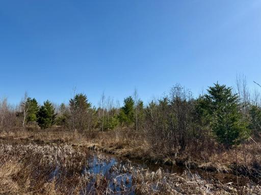 35504 Jackson Road, Askov, MN 55704