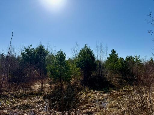 35504 Jackson Road, Askov, MN 55704
