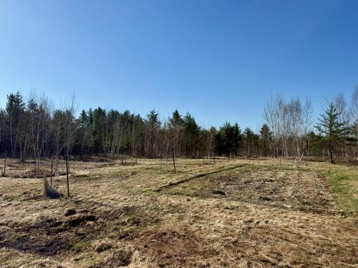 35504 Jackson Road, Askov, MN 55704