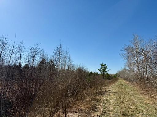 35504 Jackson Road, Askov, MN 55704