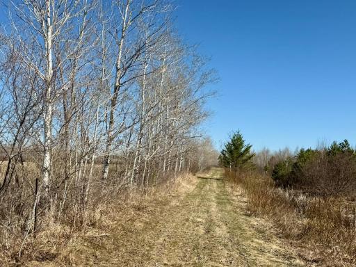 35504 Jackson Road, Askov, MN 55704