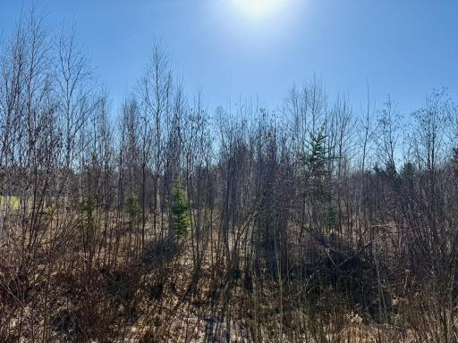 35504 Jackson Road, Askov, MN 55704