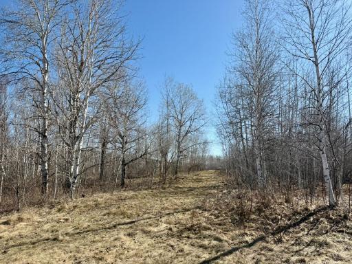 35504 Jackson Road, Askov, MN 55704