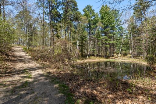 10047 Wood Ridge, Pequot Lakes, MN 56472