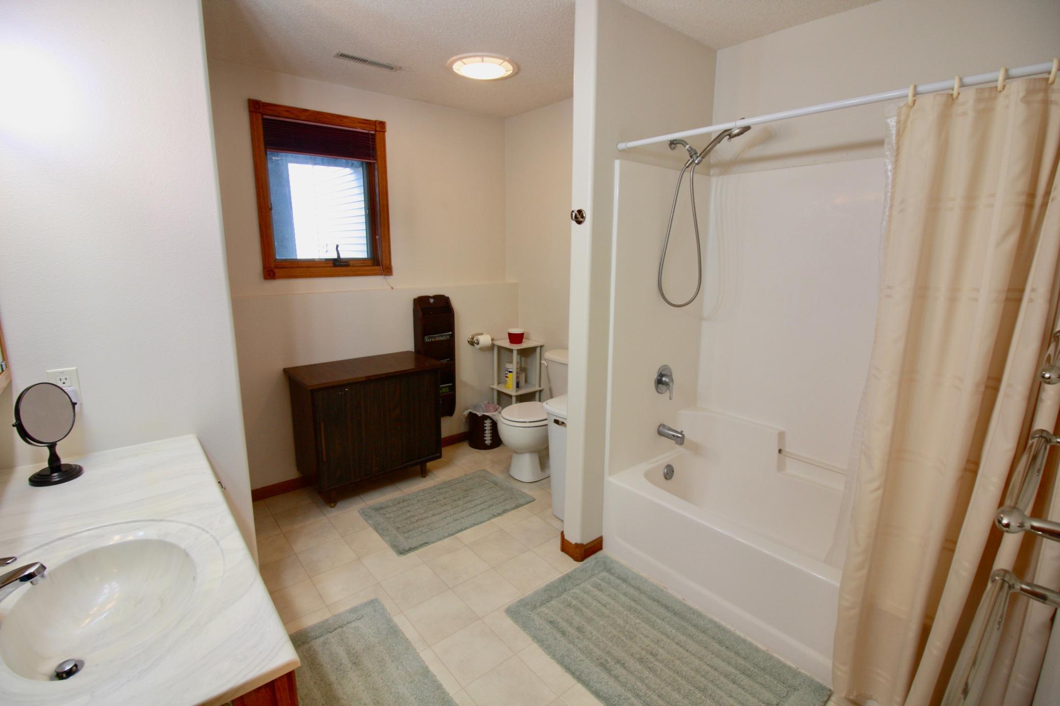 Lower level full bath
