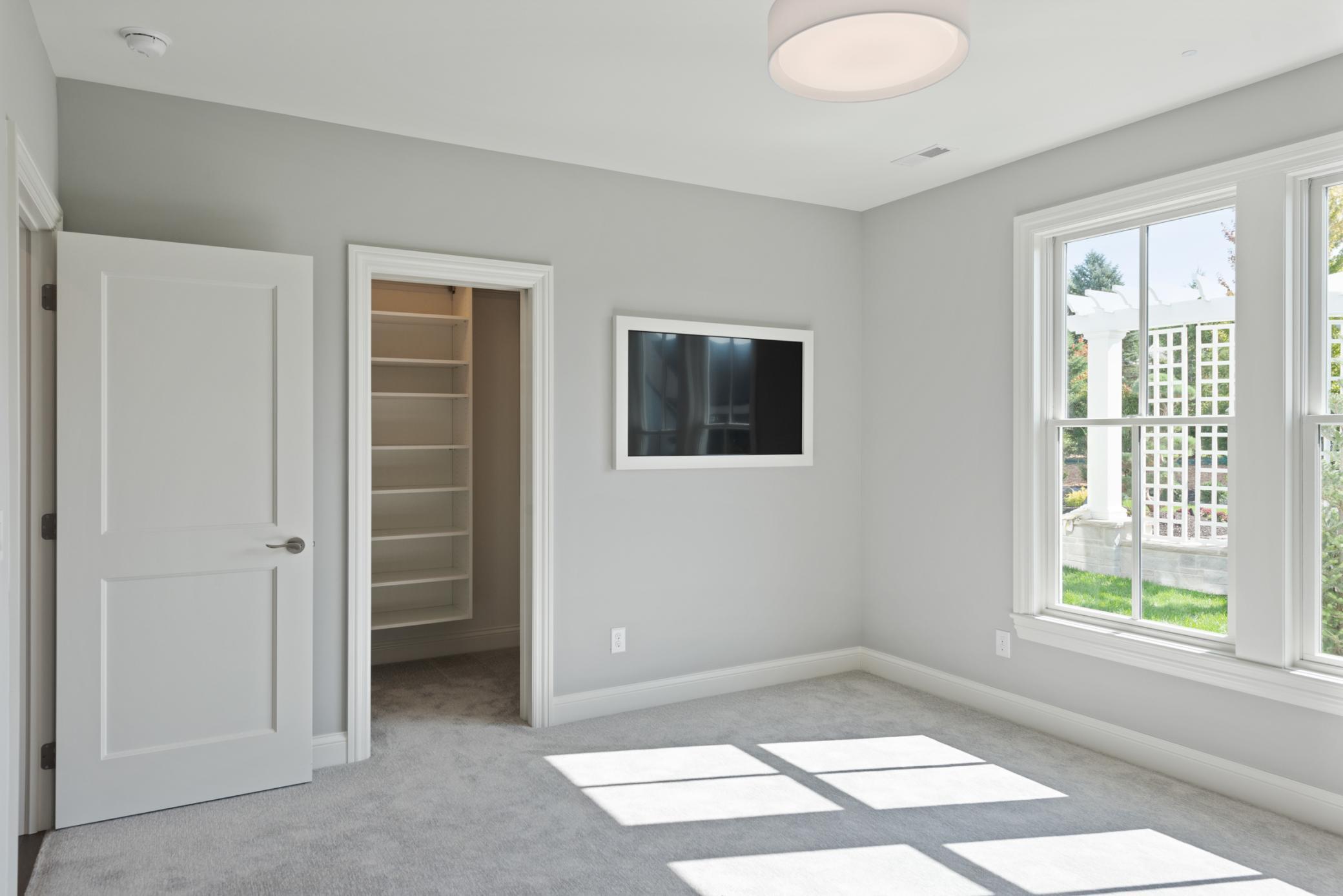 Third bedroom on the lower level with closet