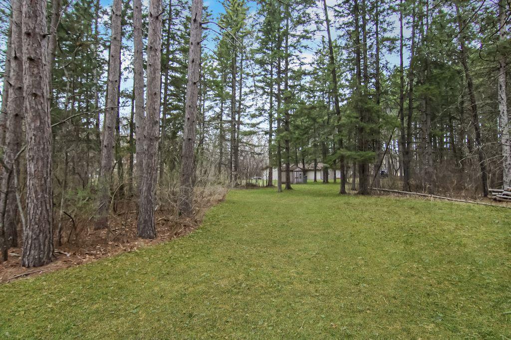 Side Yard