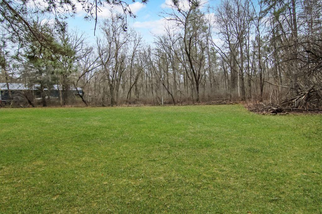 Open Area in Yard