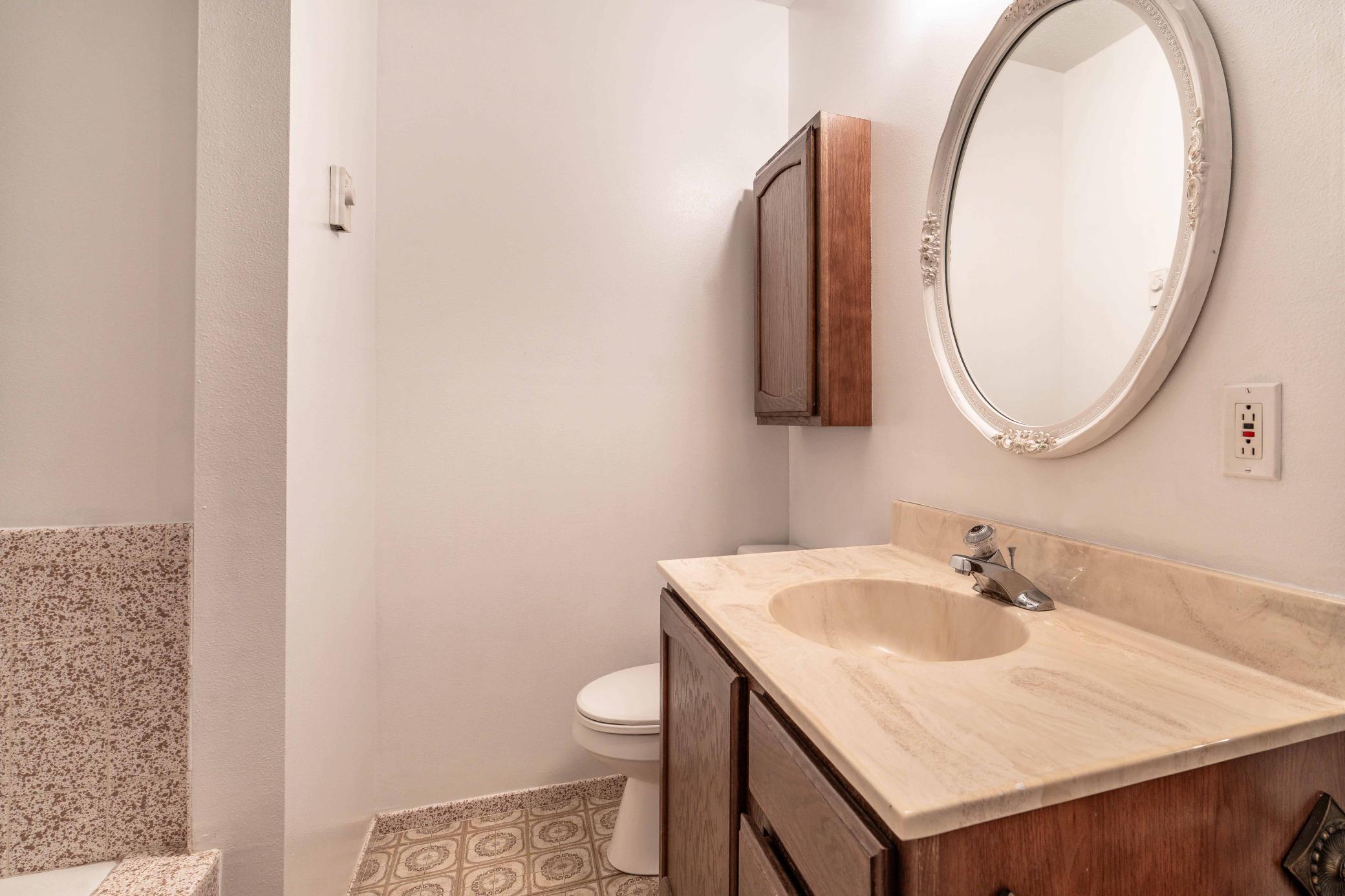 Lower Level Bathroom