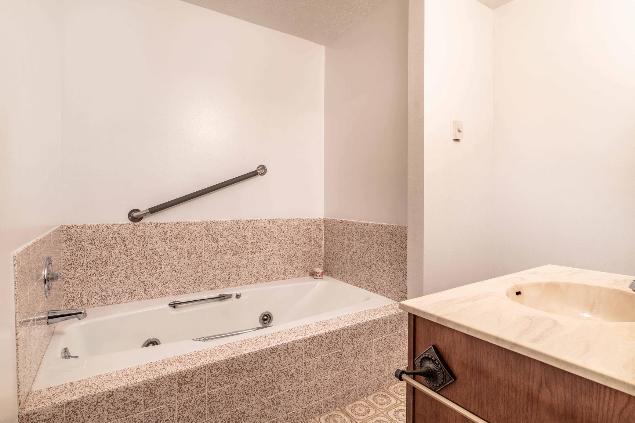 Lower Level Bathroom