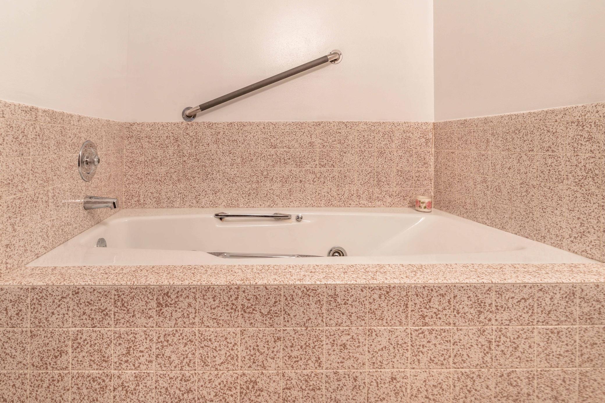 Lower Level Bathroom