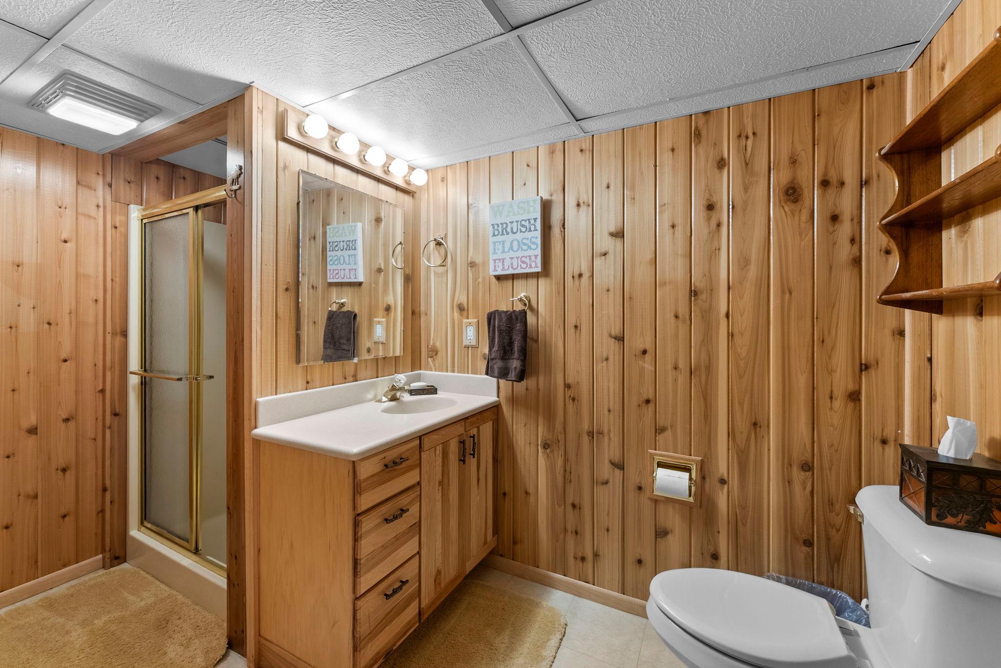 Lower level bathroom