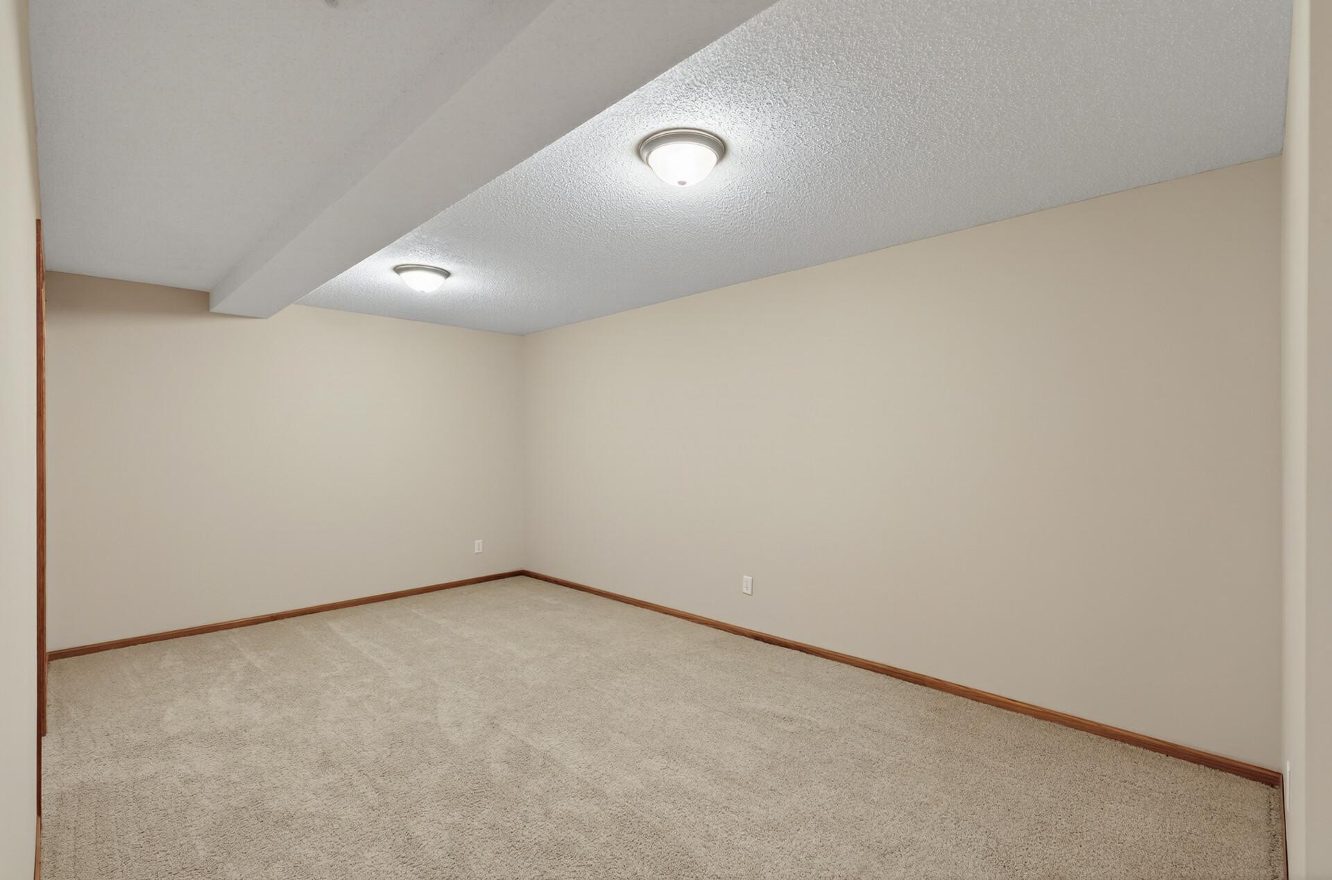 Lower Level Flex Room