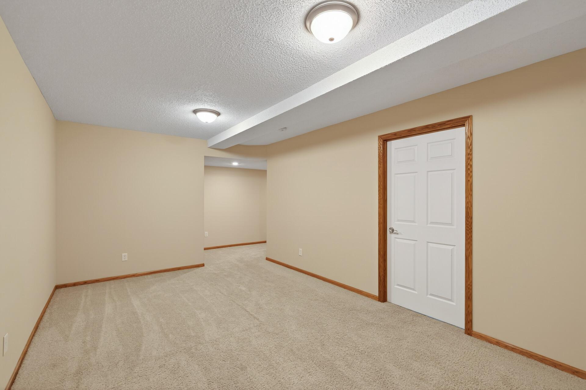 Lower Level Flex Room