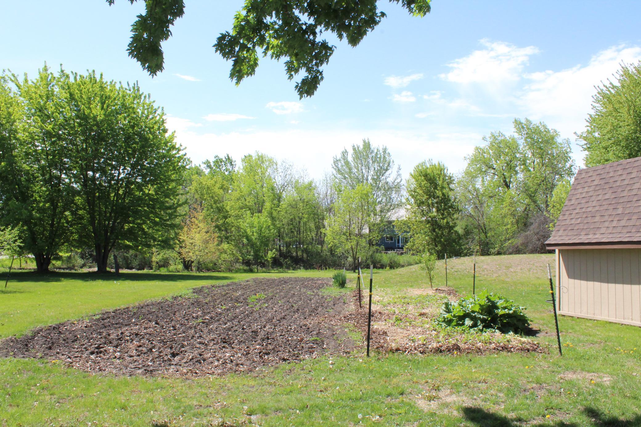 Rhubarb, strawberries, and garden space for the lucky new owner