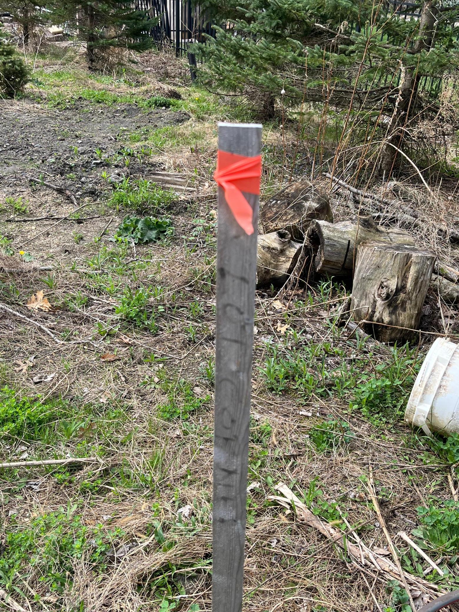 Property corners are staked with recent survey completed and available for review.