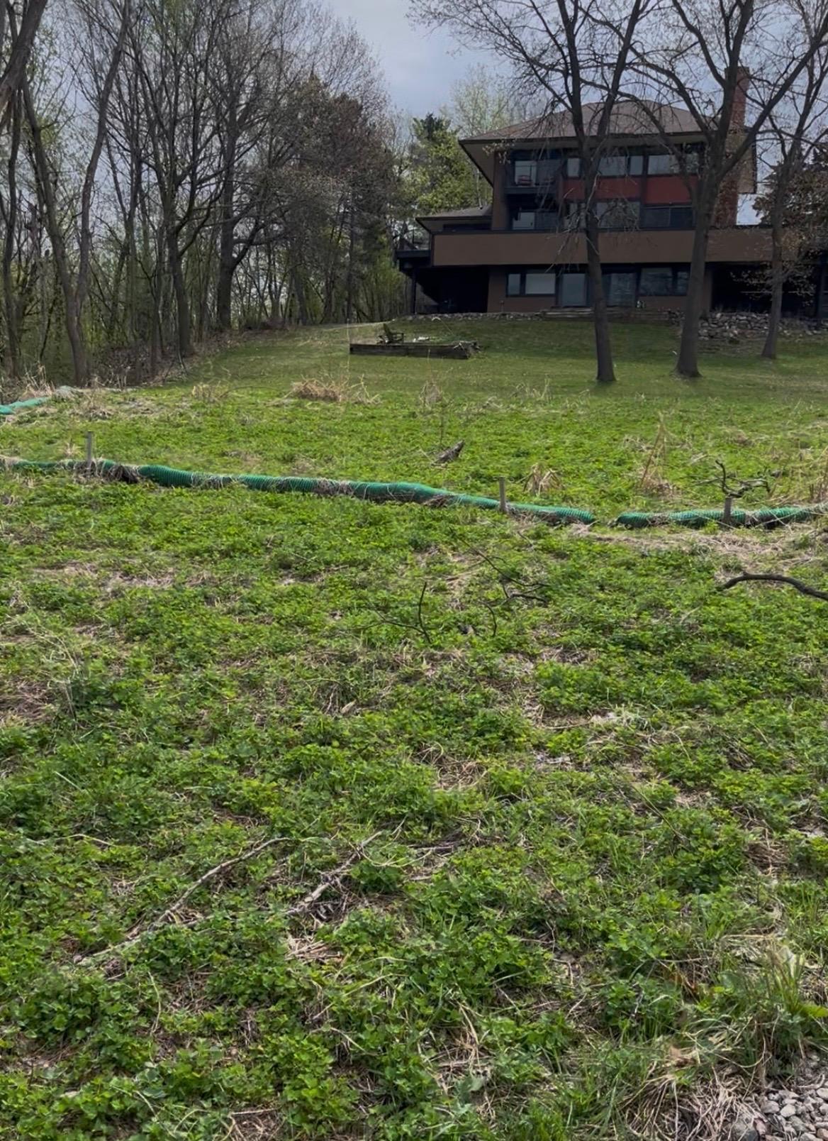 The lot line is just below the trees in front of the neighboring property.