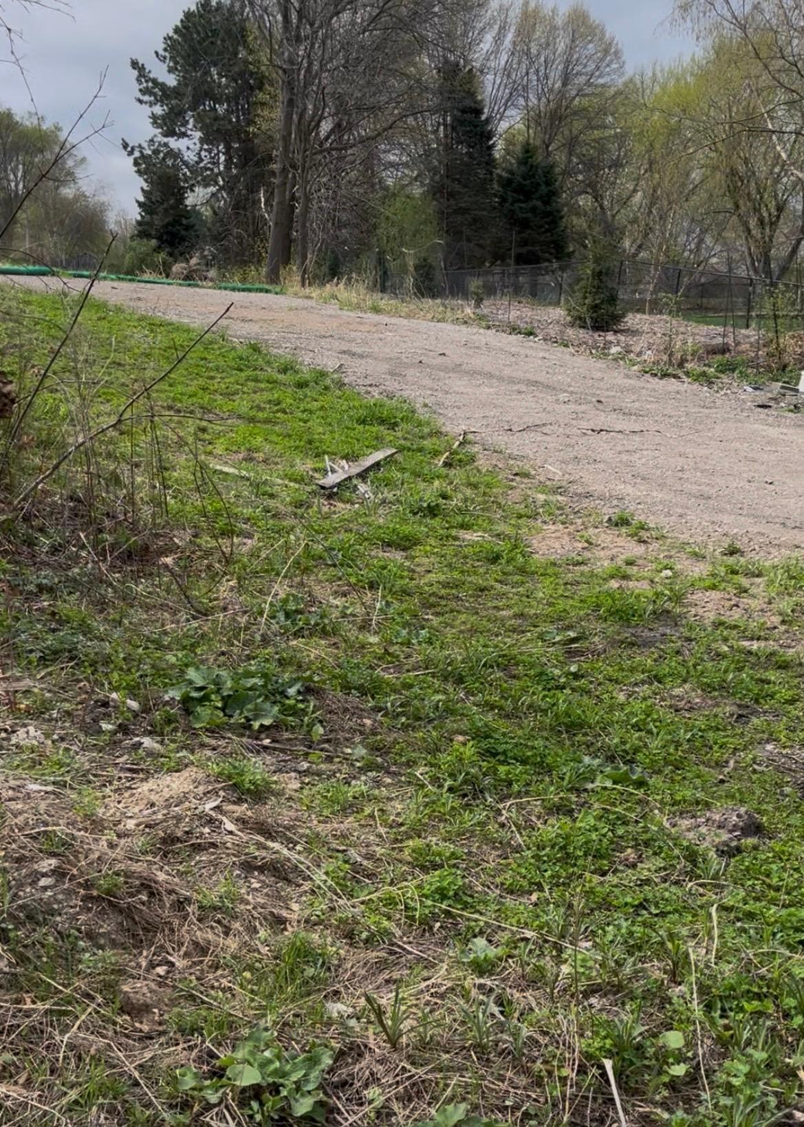 Photo taken from the edge of the lot (roughly) at the creek looking at private road.