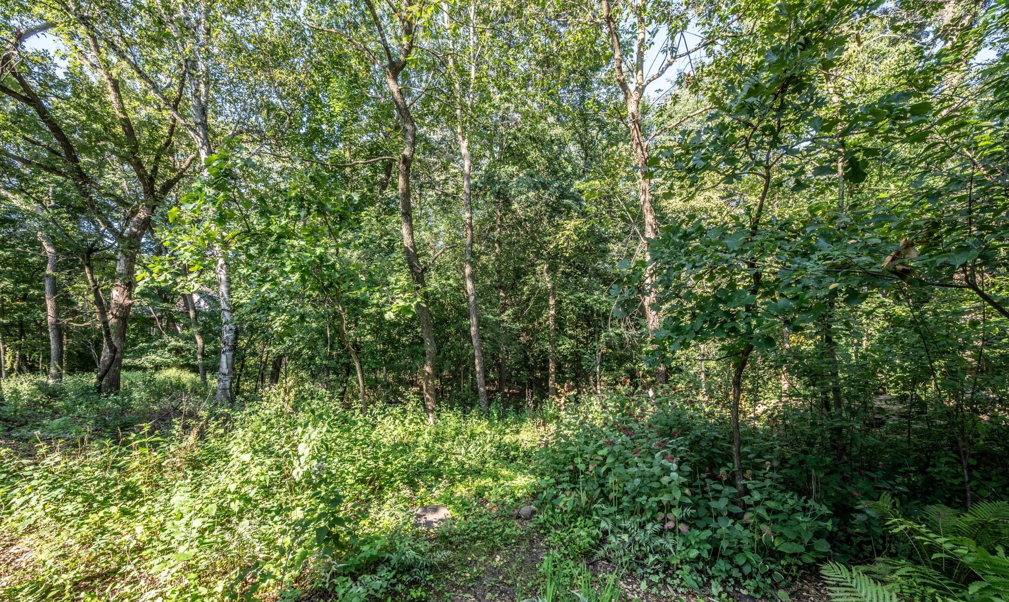 Enjoy watching nature in your own back yard