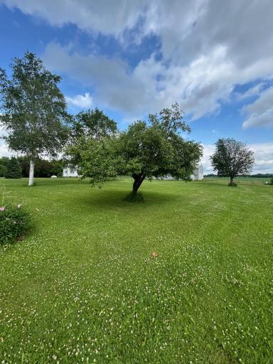38676 647th Avenue, Watkins, MN 55389