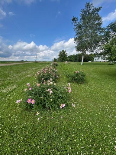 38676 647th Avenue, Watkins, MN 55389