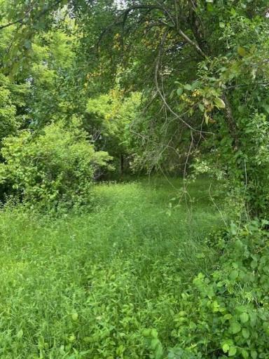 38676 647th Avenue, Watkins, MN 55389
