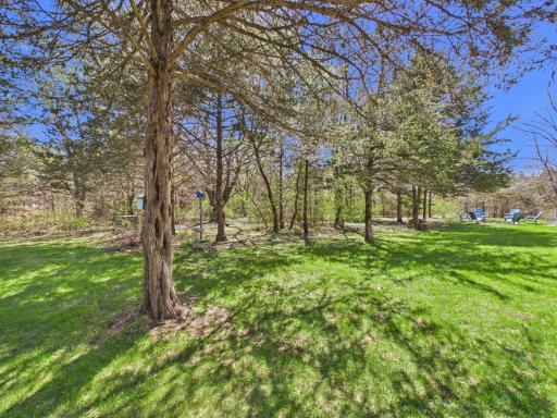 6431 106th Street SE, Clear Lake, MN 55319