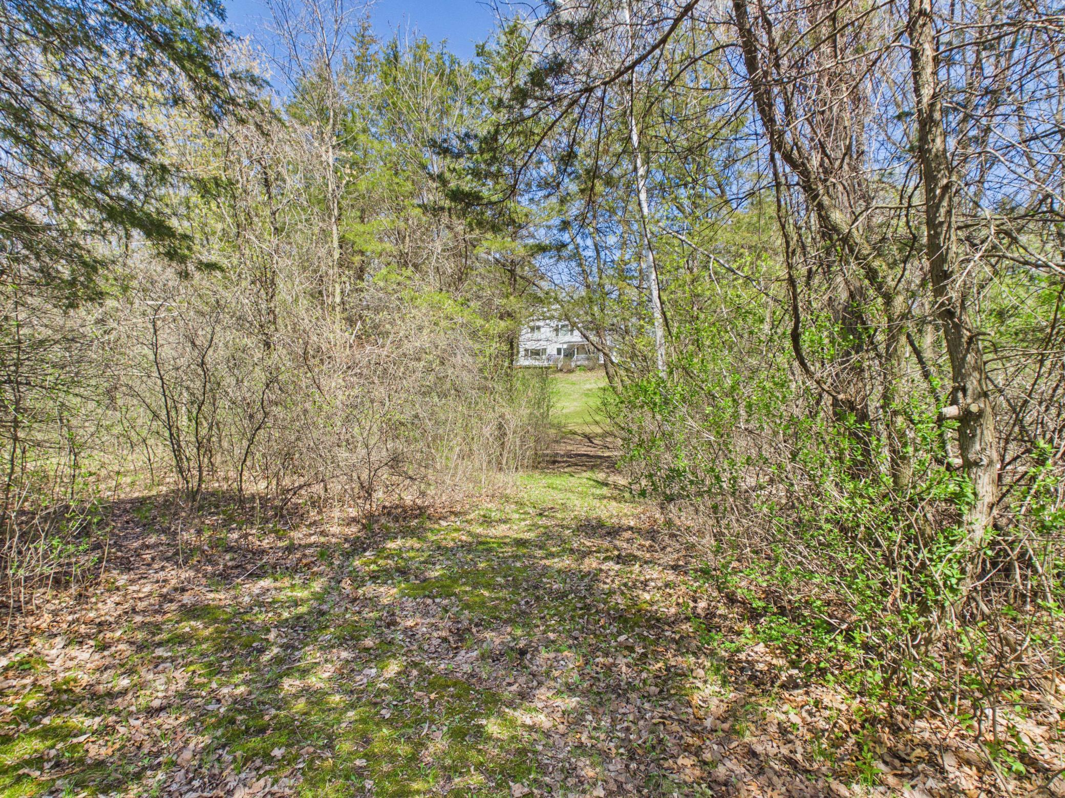 View back to the house