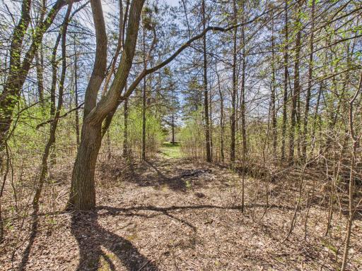 6431 106th Street SE, Clear Lake, MN 55319