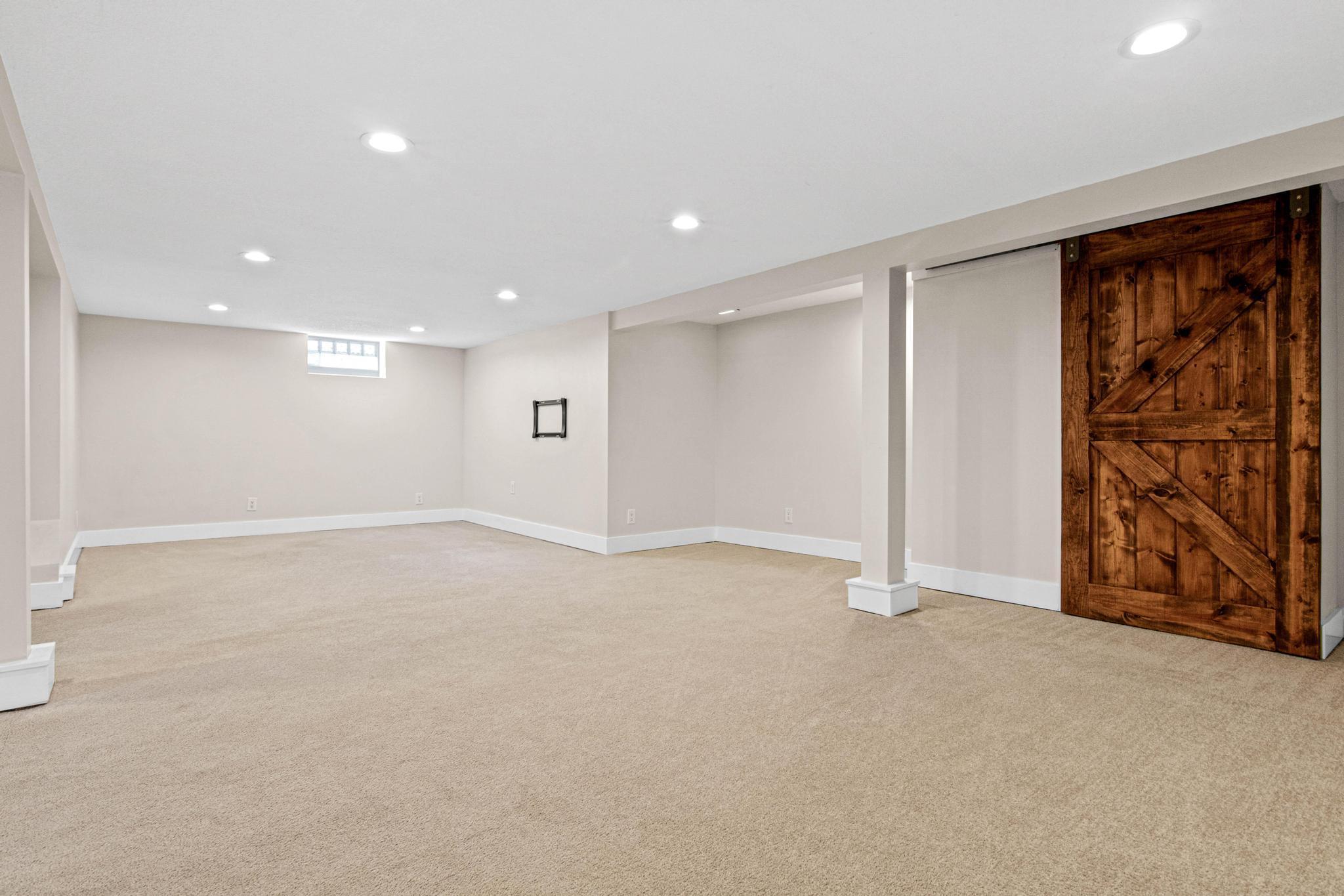 Lower Level Barn Door