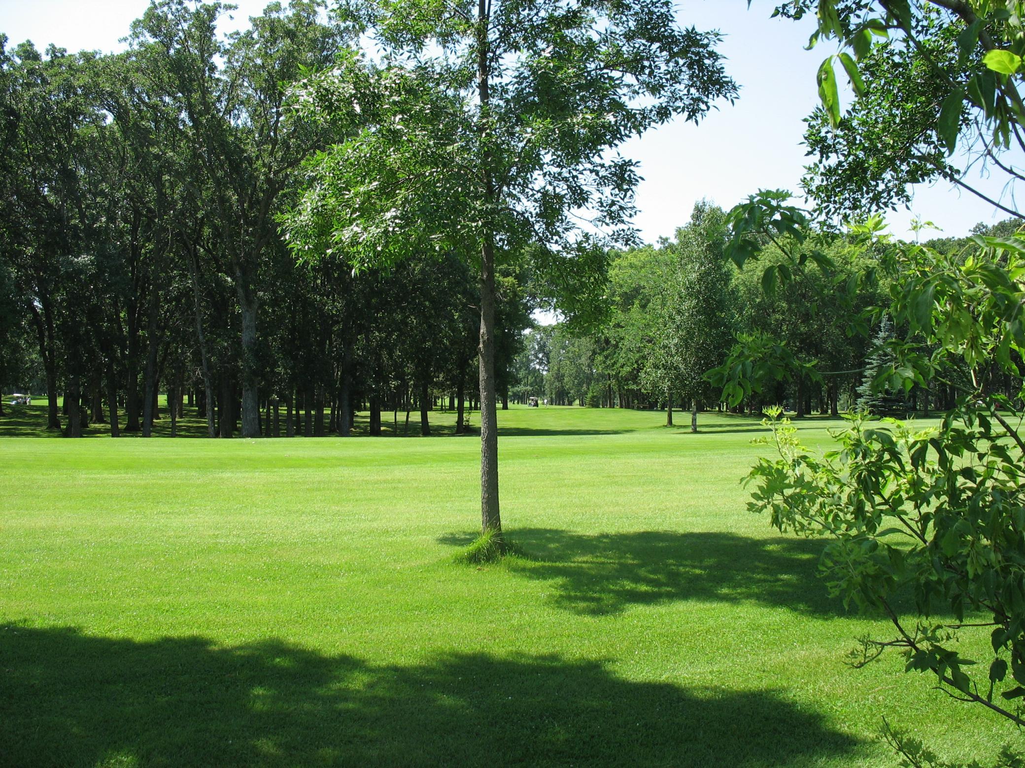 Hole #15.JPG