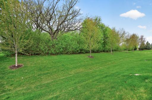 16273 Engelman Way, Lakeville, MN 55044