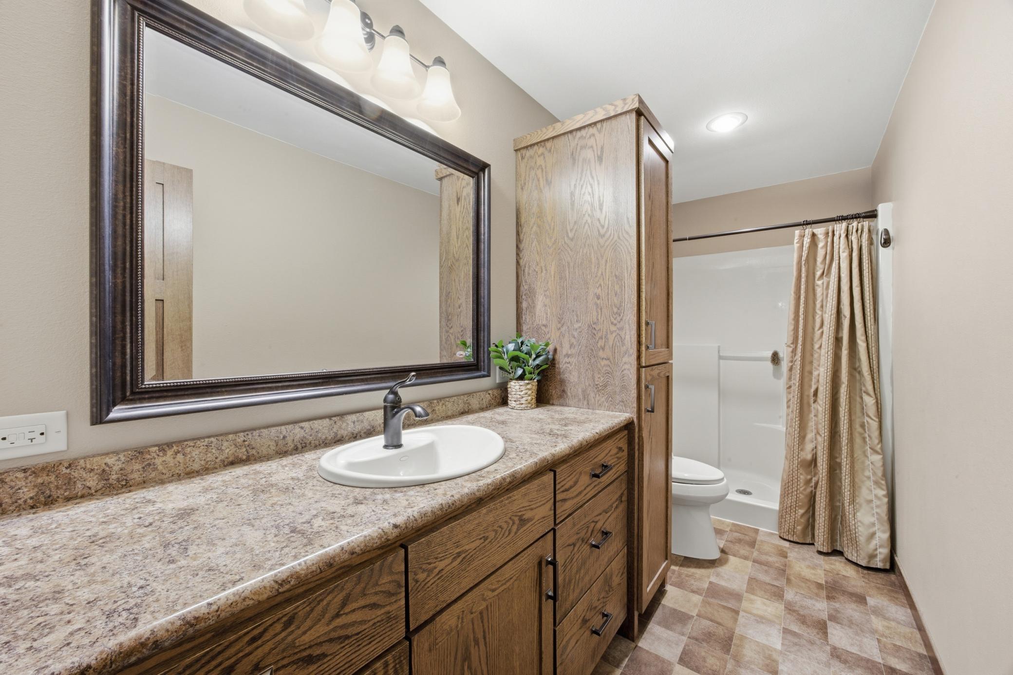 Basement Bathroom