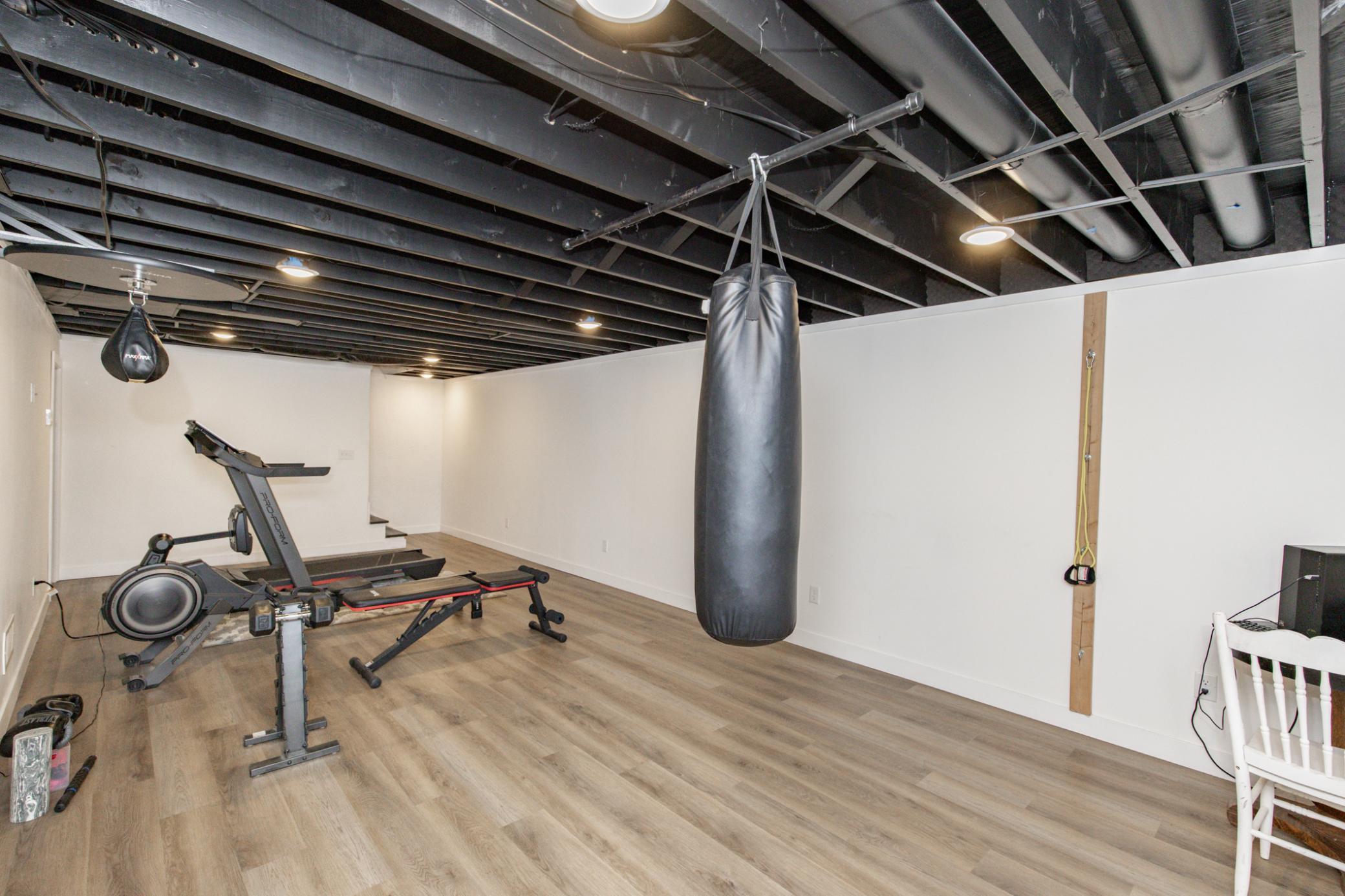 Basement Family Room