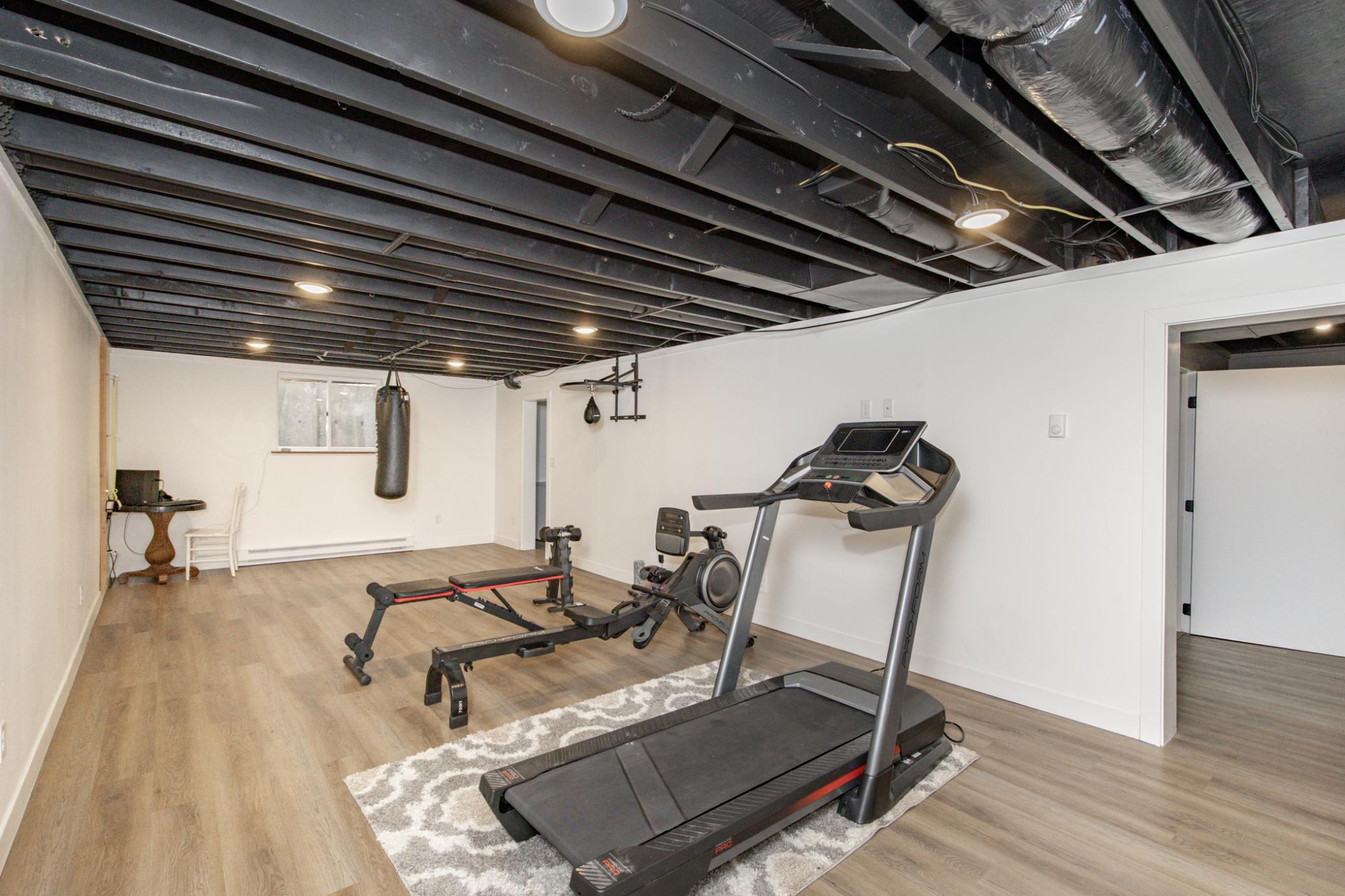 Basement Family Room