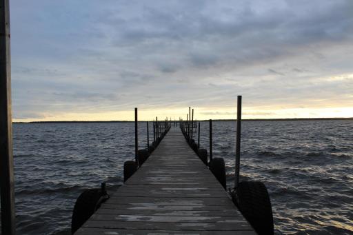 Dock