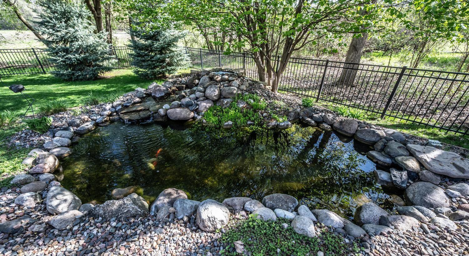 Koi Pond