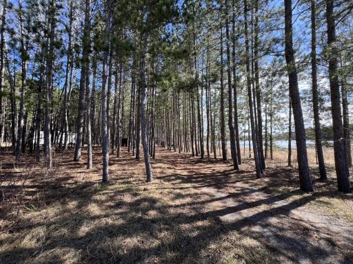 6575 Heritage Trl E, Gilbert, MN 55741