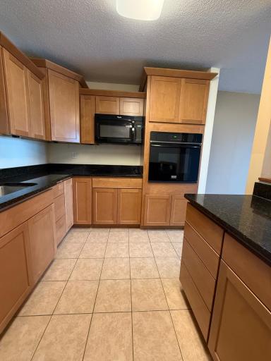 High-end appliances, cupboards, granite and tile. Luxury kitchen design.