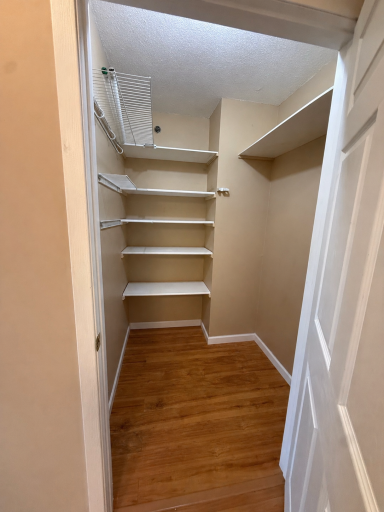 Lots of storage, including this spacious pantry