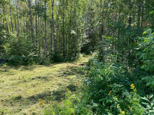 TBD Buck Dr., Bovey, MN 55709
