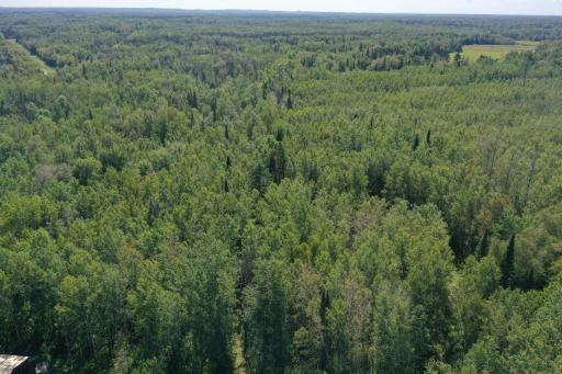 TBD Buck Dr., Bovey, MN 55709