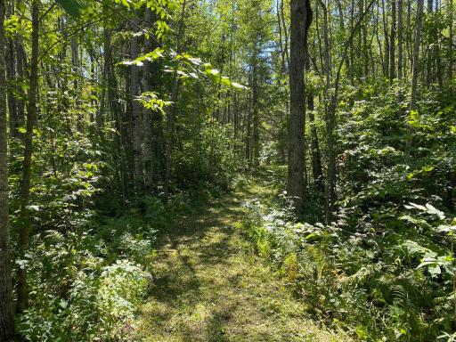 TBD Buck Dr., Bovey, MN 55709