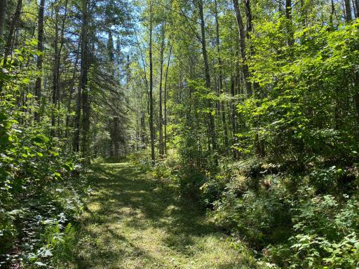 TBD Buck Dr., Bovey, MN 55709