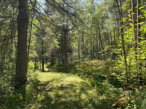 TBD Buck Dr., Bovey, MN 55709